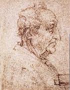 Profile of an old man Leonardo Da Vinci